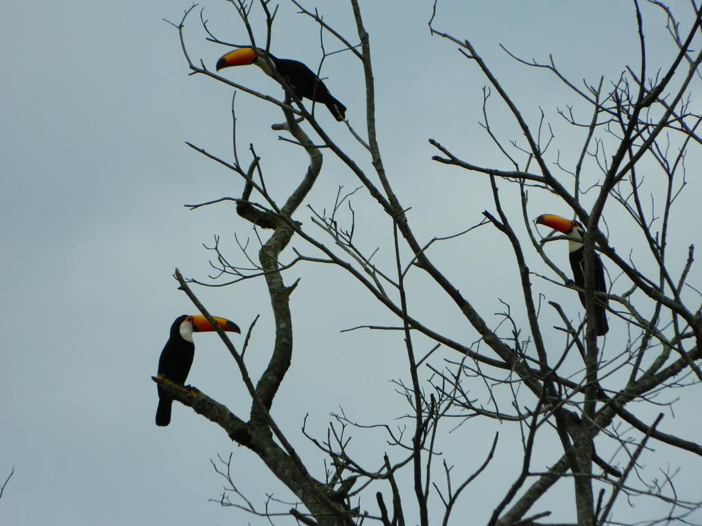 Pousada Nova Estancia Socorro (Sao Paulo) Bagian luar foto