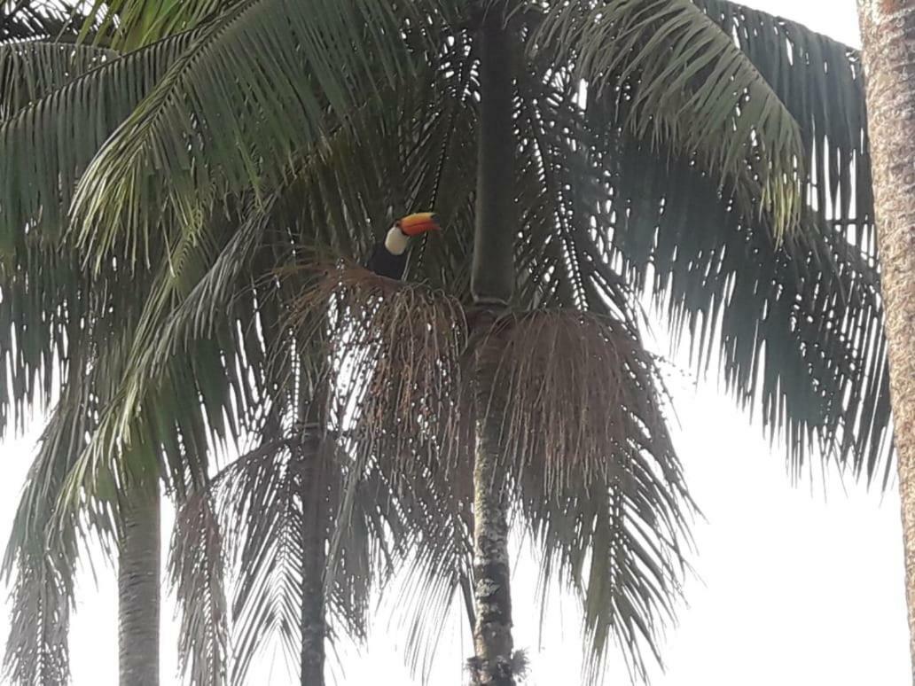 Pousada Nova Estancia Socorro (Sao Paulo) Bagian luar foto
